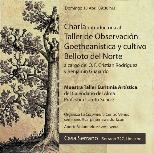 Charla Introductoria al Taller de Observación Goetheanística y cultivo del Belloto del Norte / Muestra del Taller de Euritmia Artística