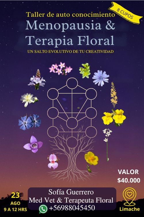 Menopausia &Terapia Floral. Taller de auto conocimiento