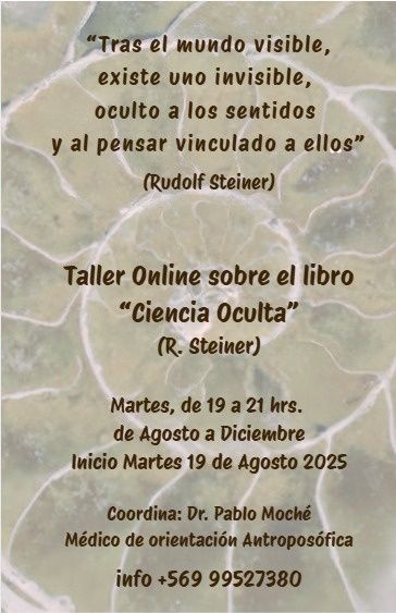 https://+569 99 527 380