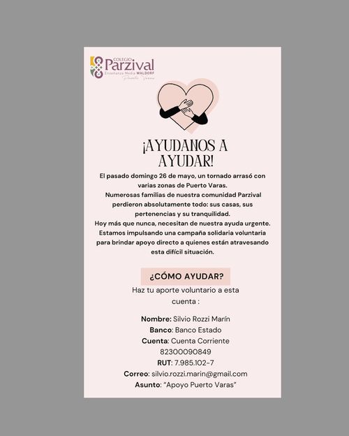 AYUDANOS A AYUDAR A PUERTO VARAS