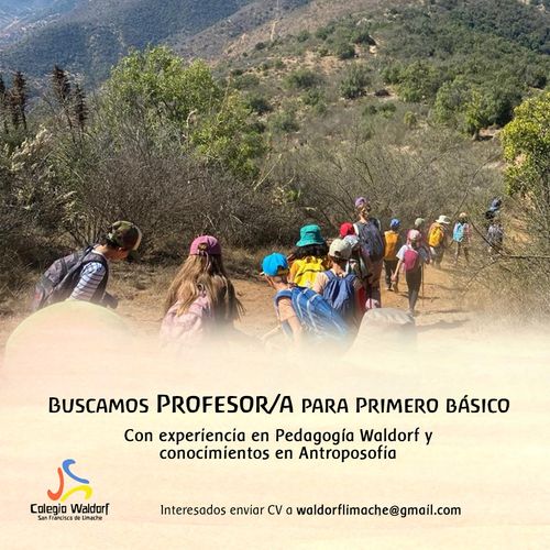 Buscamos profesor/a para primero básico 